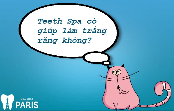 TEETH SPA - Giải pháp chăm sóc răng miệng toàn diện từ chuyên gia 12