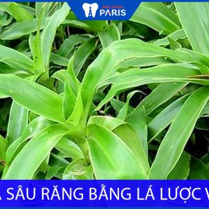 Chữa sâu răng bằng lá lược vàng không phải ai cũng biết