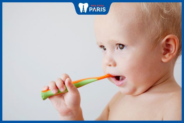 Làm sạch răng cho bé 12-18 tháng