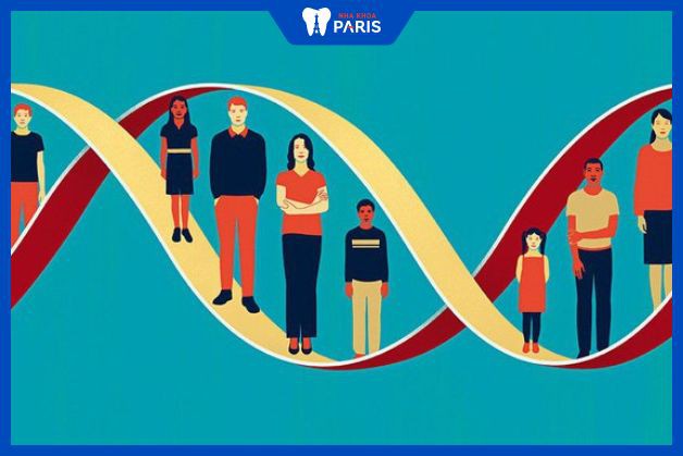 Gen di truyền là một trong những nguyên nhân gây lệch hàm