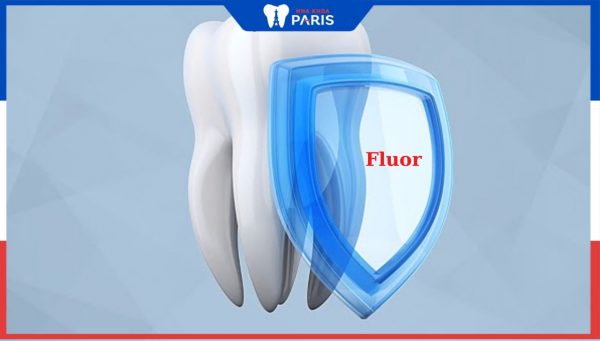 Vi chất Fluor là gì? Vai trò của flour với sự phát triển răng và xương
