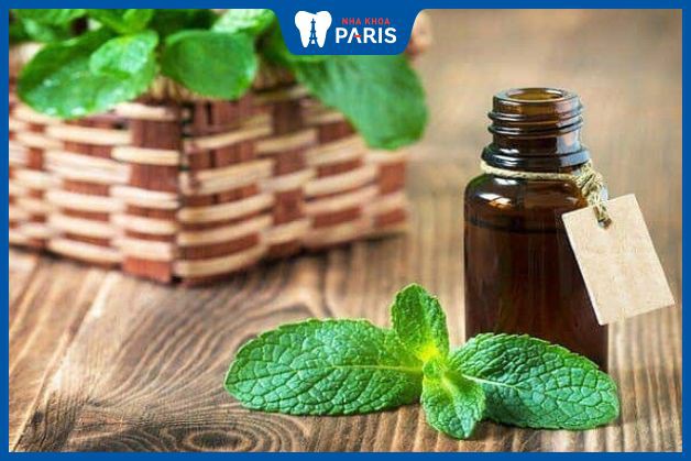 Sử dụng mật ong với tinh dầu bạc hà