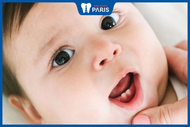 Trẻ sẽ bắt đầu mọc răng vào khoảng 4 - 7 tháng tuổi