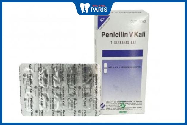 Thuốc chữa viêm lợi Penicillin V