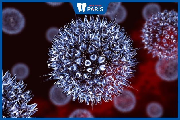 Virus HSV là nguyên nhân gây viêm họng cấp