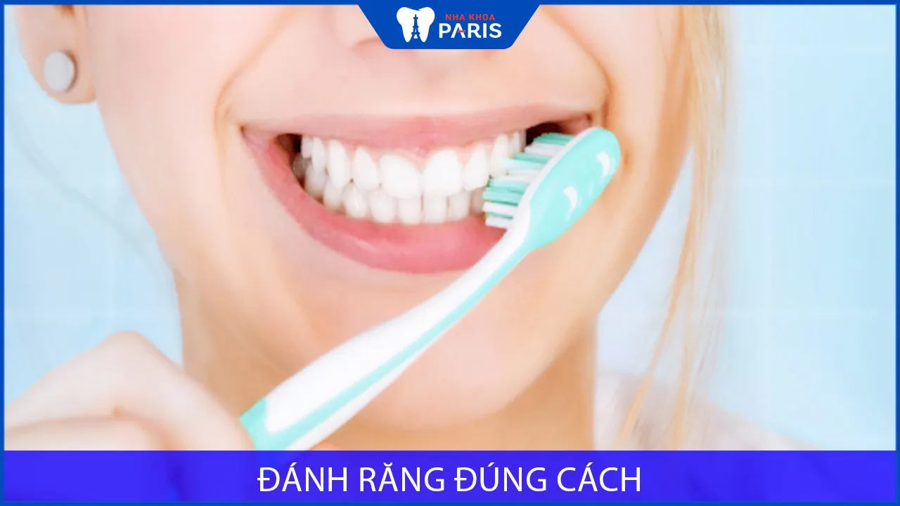 5 bước đánh răng đúng cách cho người lớn và trẻ em