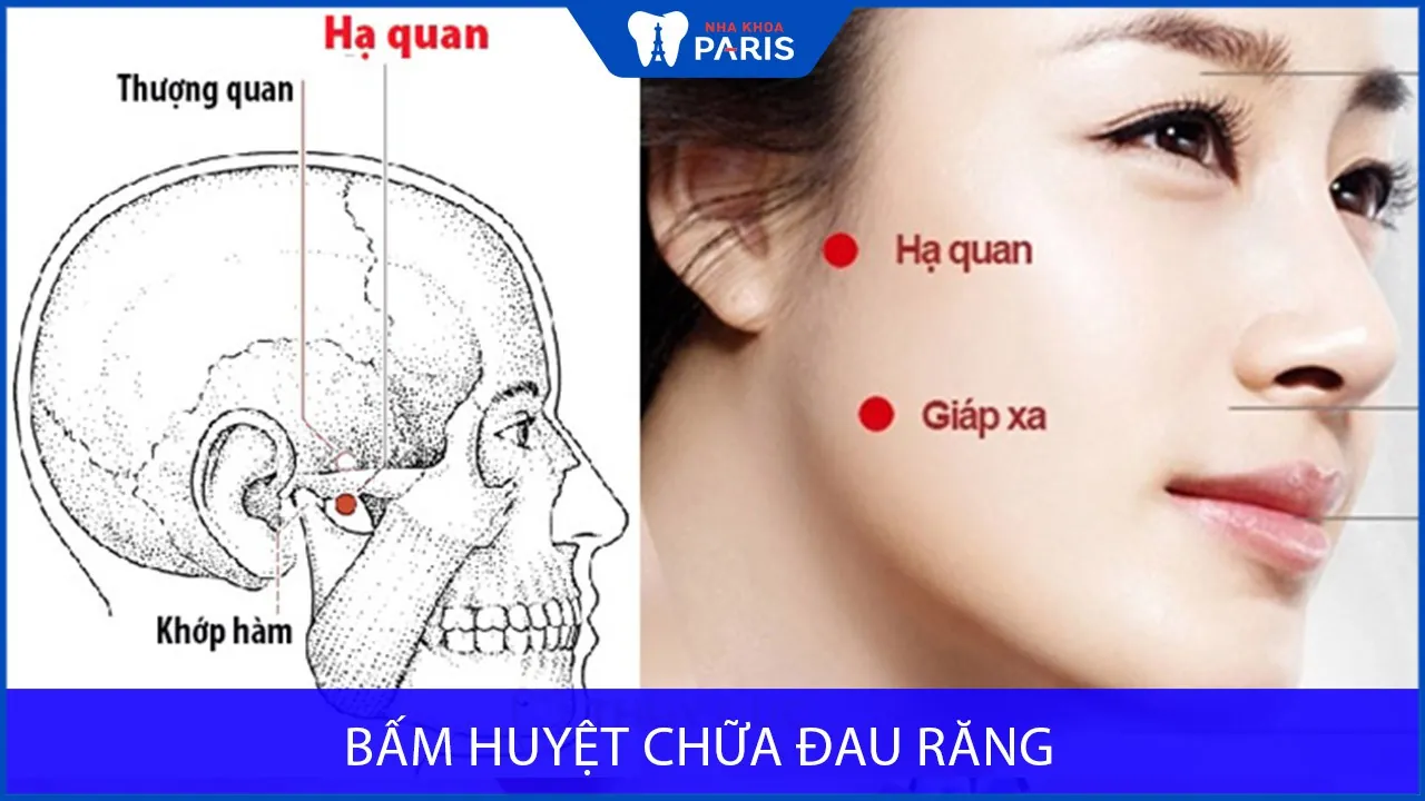 5 Cách bấm huyệt chữa đau răng Đơn Giản & Hiệu Quả