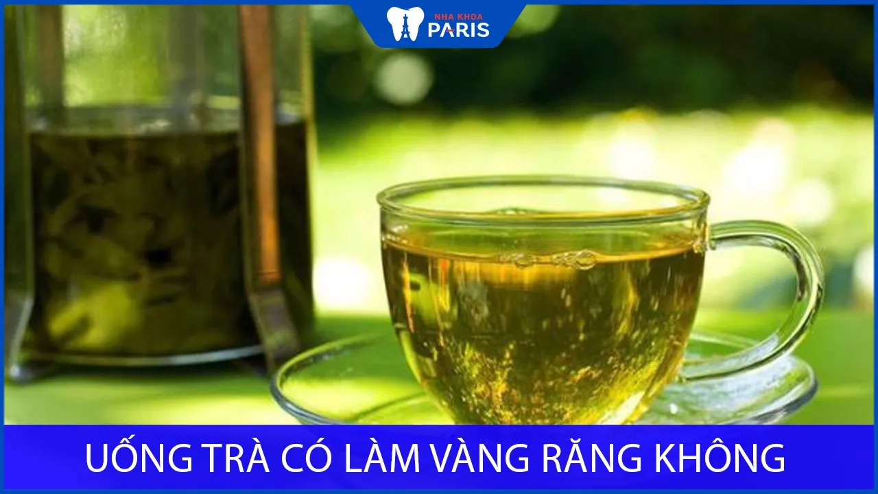 Uống trà nhiều có bị vàng răng không? Các hạn chế vàng răng khi uống trà