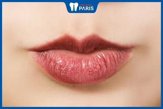 Môi trên mỏng môi dưới dày: Tất tần tật về ý nghĩa, vận mệnh