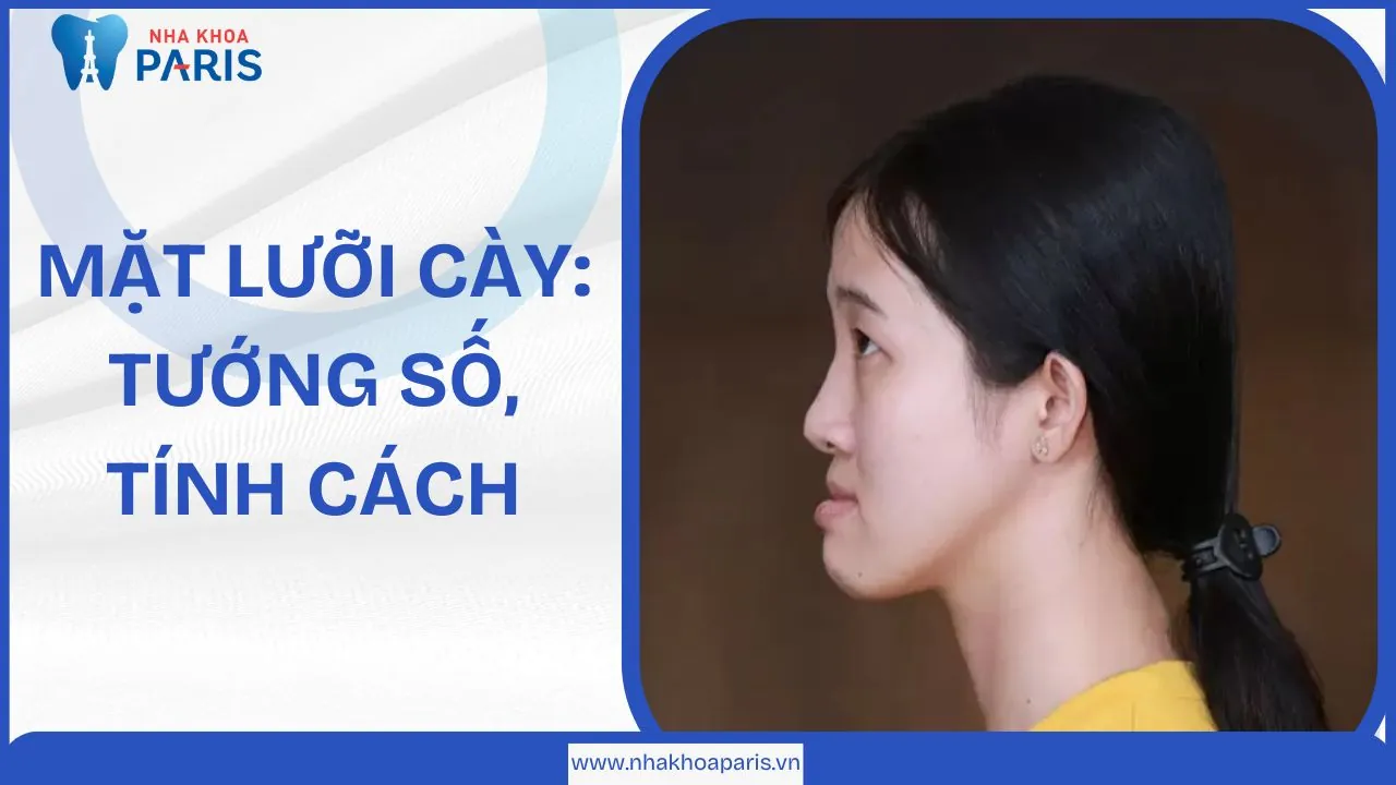 Ý nghĩa người mặt lưỡi cày, tướng số tính cách ra sao
