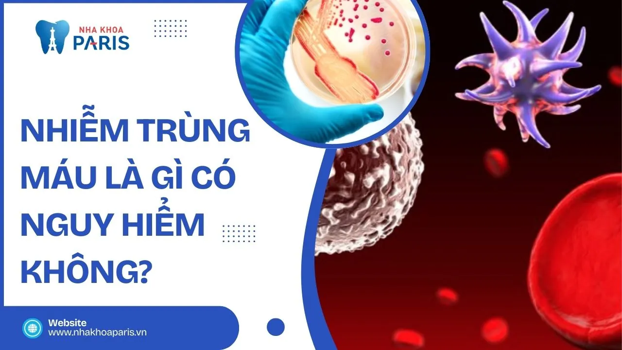 Nhiễm trùng máu có nguy hiểm không? Tất cả những gì bạn cần biết
